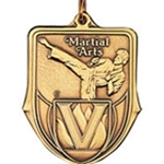 Martial Arts Medals