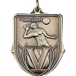 Volleyball Medals