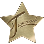 Teamwork Star Medallion