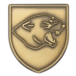 Panthers Lapel Pin