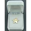 Attitude Star Pin