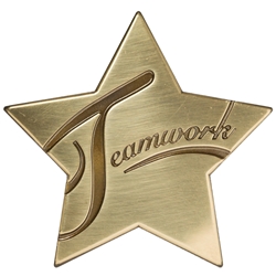 Teamwork Star Medallion