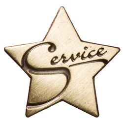 Service Star Pin