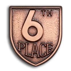 6th PL Lapel Pin