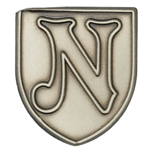 N Lapel Pin