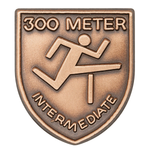 300 M Int Hurdles Lapel Pin