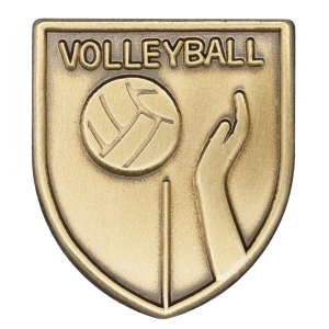 Volleyball Lapel Pin