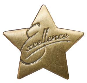 Excellence Star Pin