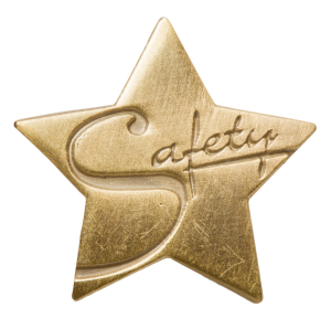Safety Star Pin
