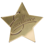 Excellence Star Medallion